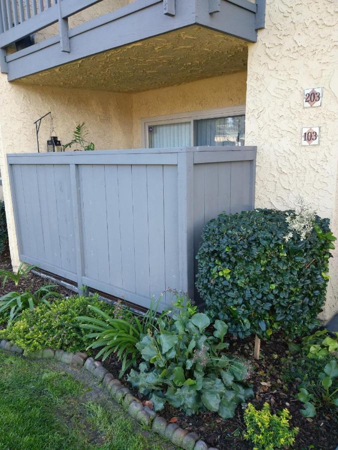 Departamento Completo En San Diego Hablamos Espanol المظهر الخارجي الصورة